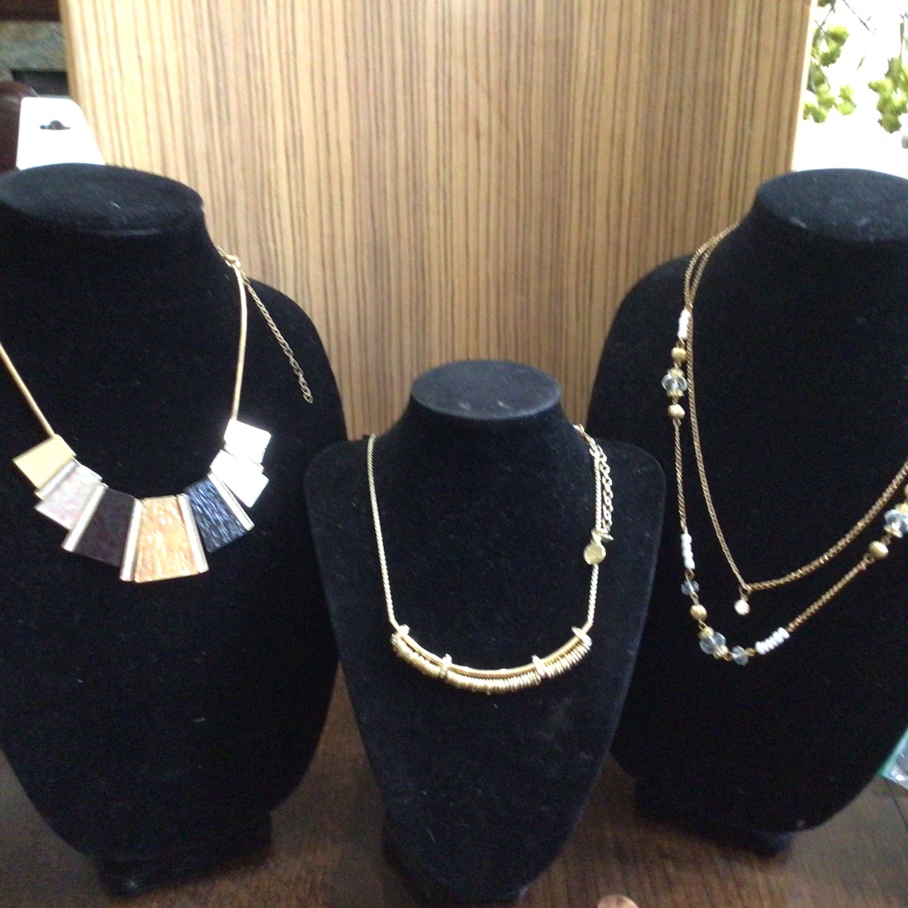Lot Of Three Brand New Necklaces Includes 2 Fashion Jewelry 1dana Buchman 16$